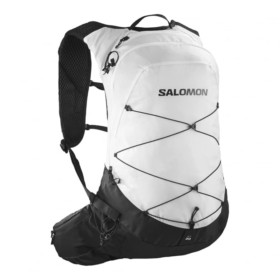 サロモン　スキーバックパック Amazon.co.jp: SALOMON(サロモン) スキー ブーツバッグ COMMUTER